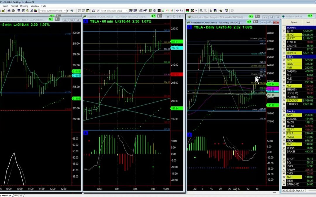 Updated TSLA Price Targets