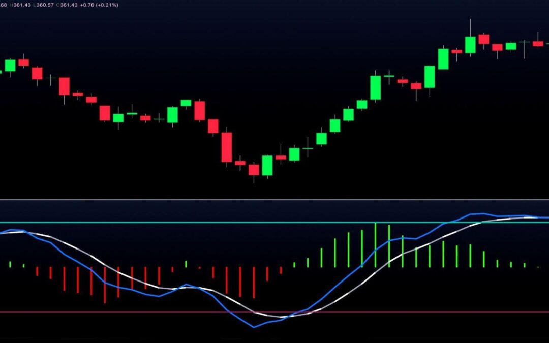 MQ Momentum Indicator (Standard)