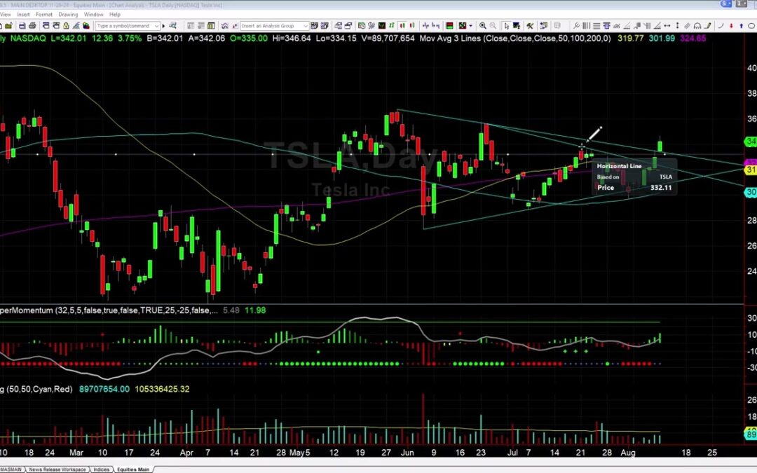 Why I am Long TSLA