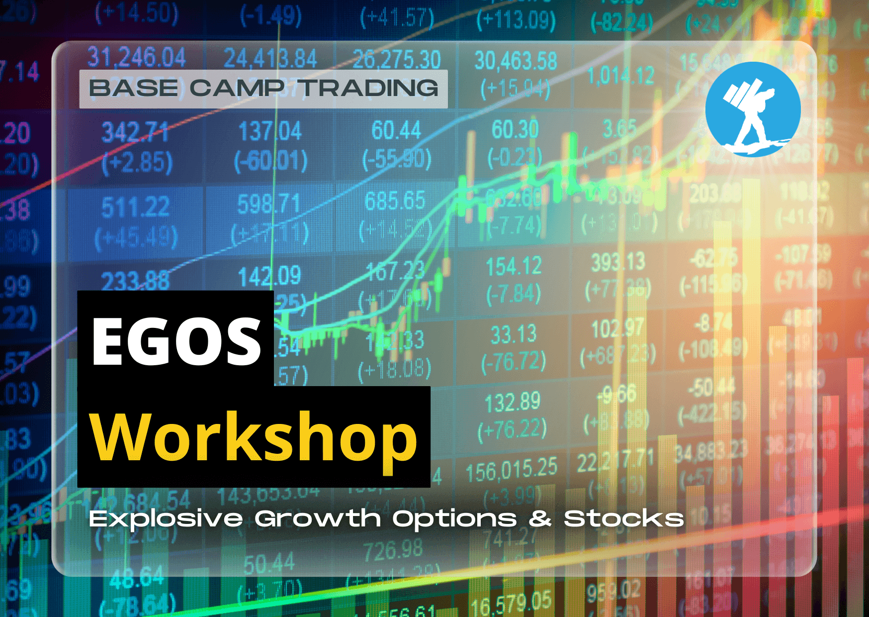 EGOS Workshop